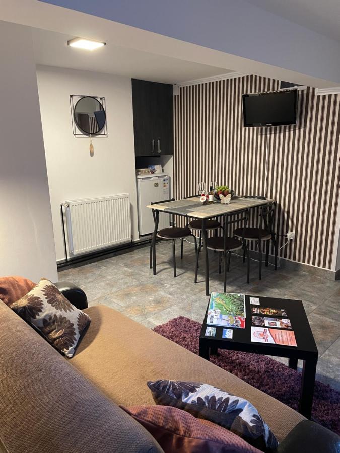 Apartament Montapart Buşteni Zewnętrze zdjęcie