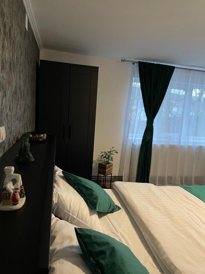 Apartament Montapart Buşteni Zewnętrze zdjęcie